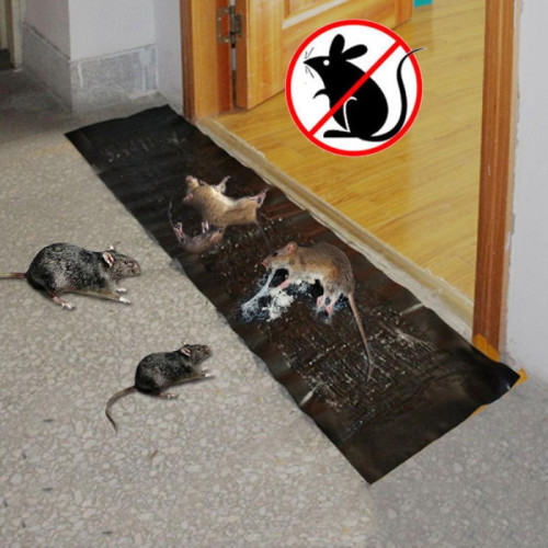 Wewoo - Anti insectes Répulsifs 2 souris de piège rat rongeur colle tueur longueur: 1.2m Wewoo  - Jardinerie