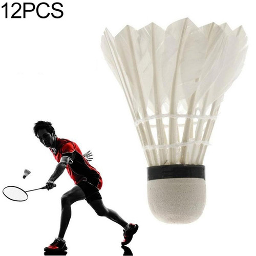 Wewoo - Ballon d'entraînement de badminton REGAIL 1004 12 PCS Deather Feather Wewoo  - Jeux de plein air Wewoo