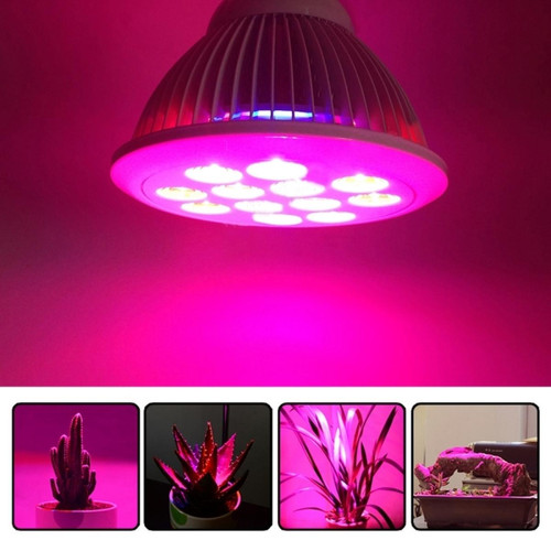 Lampes à poser Wewoo Lampe rouge E27 24W 12 LEDs PAR38 LED Lumière de la croissance des plantes à effet de serre Aquarium, AC 100-240V + bleue