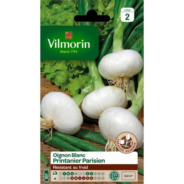 Vilmorin - Graines Oignon Blanc Printanier Parisien VILMORIN Vilmorin  - Graine & potager Rare Vilmorin