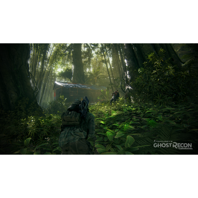 Ubisoft GHOST RECON WILDLANDS - PS4