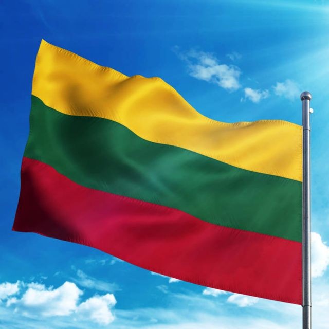 marque generique Pays Grand Drapeau National Banner Festival Décor Jaune Vert Rouge Lituanie