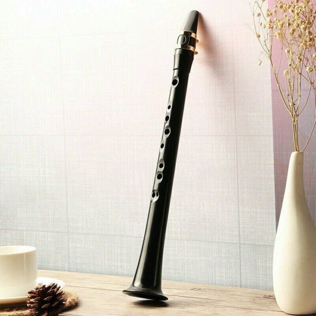 Saxophones Saxophone de poche, saxophone mini