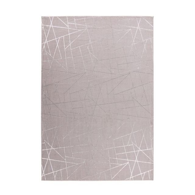Paris Prix - Tapis Géométrique à Poils Longs ""Bijou"" Taupe & Argent - 160 x 230 cm - Décoration Taupe