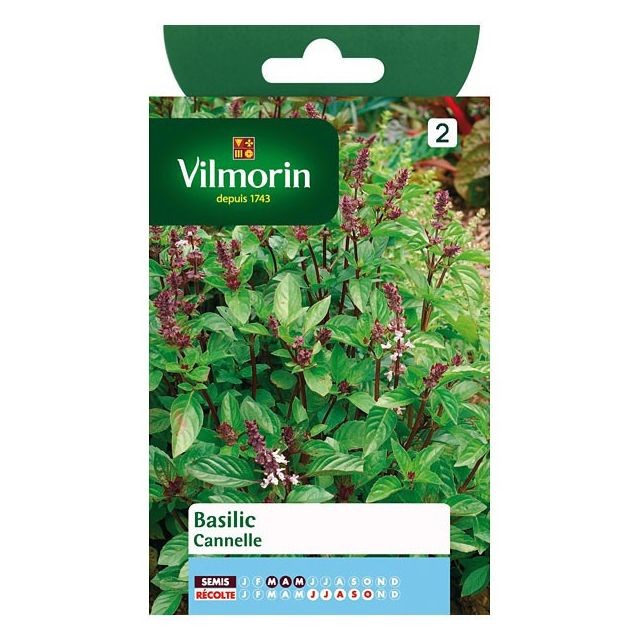 Vilmorin - Sachet graines Basilic Cannelle Vilmorin  - Graine aromatique Vilmorin