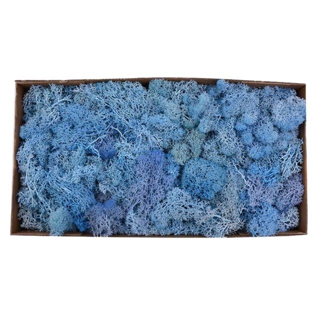 marque generique - Mousse de renne séchée naturelle traitée à la mousse immortelle Artisanat DIY Décor Floral Bleu marque generique  - Plantes et fleurs artificielles