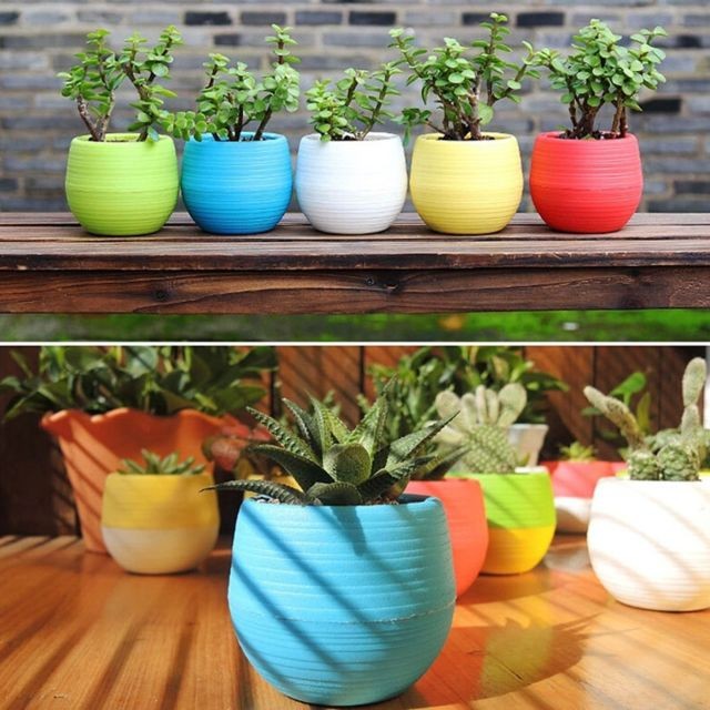 Wewoo 5 PCS Mini rondes Home Garden Office Decor Plastique Pots de fleursTaille 7x7cm Jaune