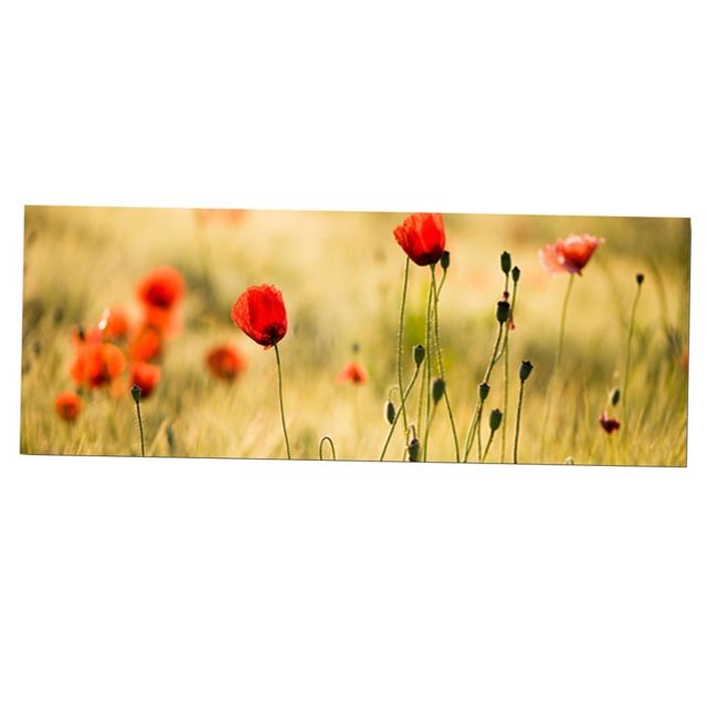 marque generique HD moderne peinture abstraite peinture décorative photo fleur rouge