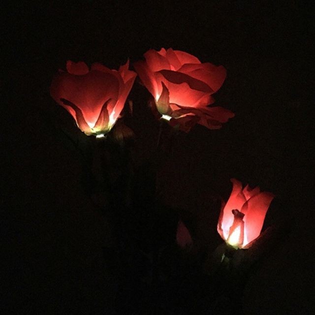 Wewoo Solaire LED artificielle rose lanterne décoration de jardin lampe de pelouse rouge