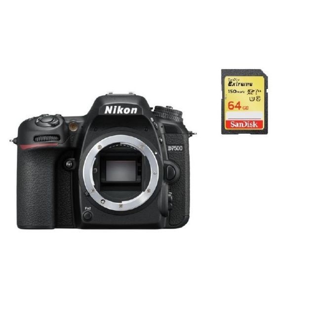 Nikon - NIKON D7500 Body + 64GB SD card - Reflex Grand Public Nikon