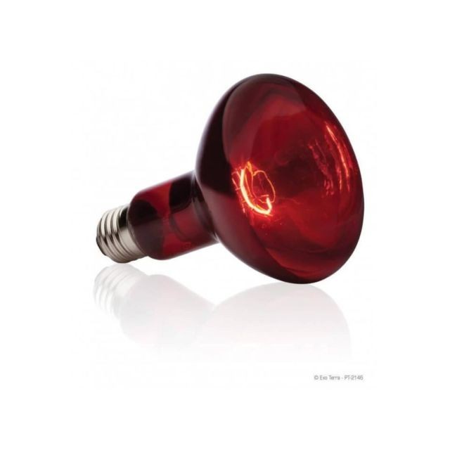Exo Terra - BASKING SPOT lampe infrarouge 75 W Exo Terra  - Animalerie