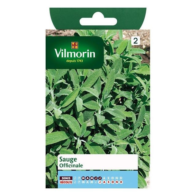 Vilmorin - Sachet graines Sauge officinale Vilmorin  - Graine de fleur et potager