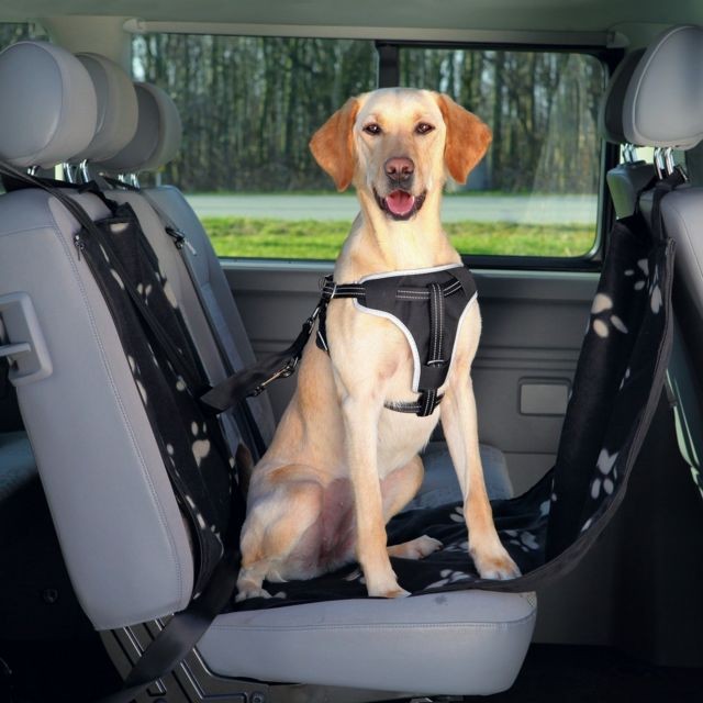 Trixie - Trixie - Couverture de protection pour voiture (0,65 x 1,45 m) (Noir/Beige) - UTTX488 Trixie  - Couverture chien