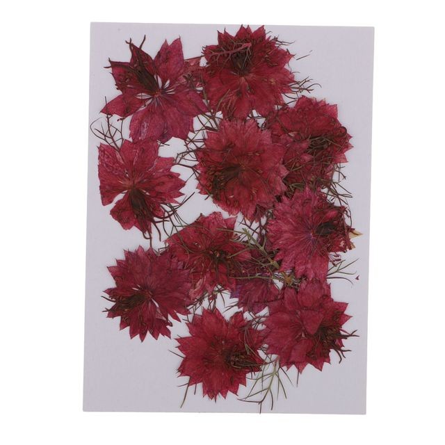 marque generique - 12 pièces amour-dans-un-brouillard naturel pressé réel séché fleur artisanat violet rouge marque generique  - Décoration