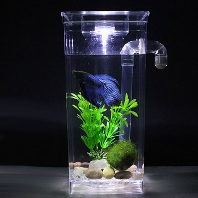 marque generique - base poisson bol plante aquarium poisson réservoir décoration de la maison blanc rond marque generique  - Animalerie