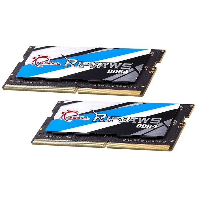G.Skill Ripjaws Series 16 Go (1 x 16 Go) DDR4 Notebook (SO DIMM)