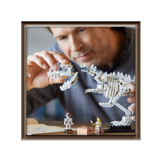 Lego LEGO Ideas 21320 - Les fossiles de dinosaures