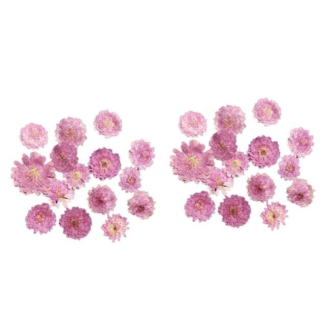 Plantes et fleurs artificielles marque generique Fleur séchée pressée nail art mariage