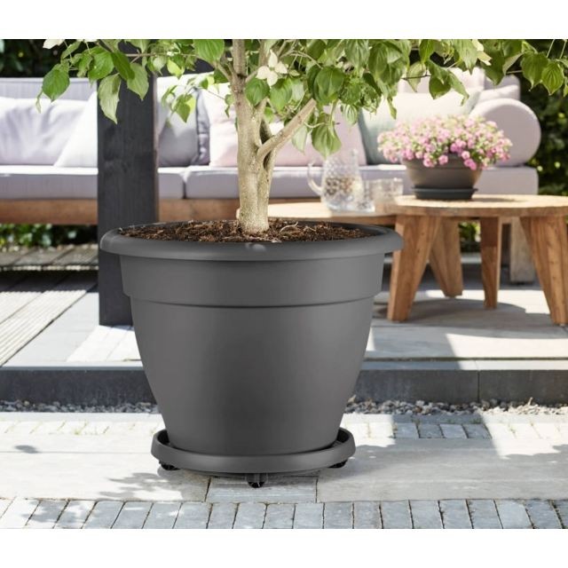Elho - Support de pot à roulettes - planttaxi universel - 40 cm - Gris - ELHO - Décoration d'extérieur