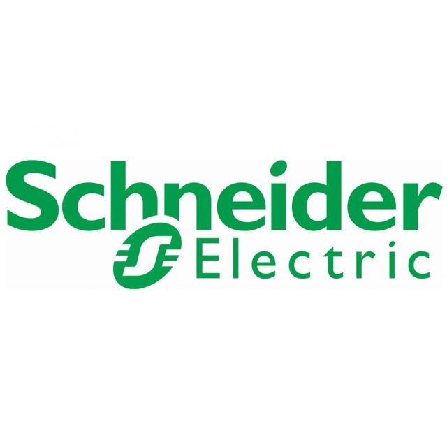 Schneider Electric - interrupteur différentiel - 2 pôles - 100a - 300 ma - type asi - schneider electric a9r35240 Schneider Electric   - Interrupteurs différentiels