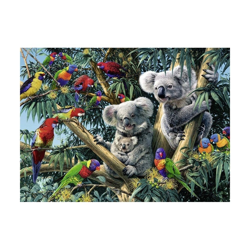 Puzzle Famille de Koalas Et Perroquets Dans L Arbre 500 Pieces -  Ravensburger - Puzzle Animaux De La Foret