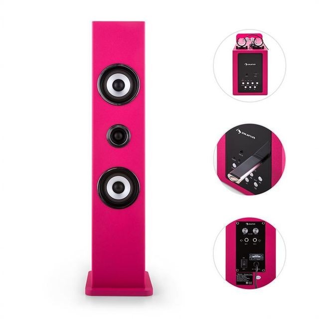 Auna auna Karaboom Enceinte Bluetooth karaoke micros -rose Auna
