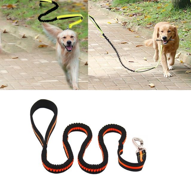 marque generique - chien chiot laisse corde de traction chien marche harnais de formation laisse orange marque generique  - Laisse pour chien marque generique