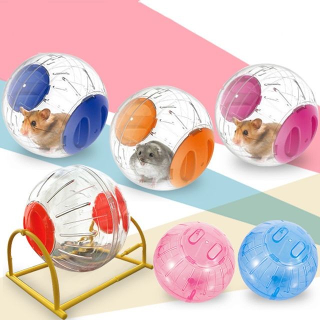marque generique animal de compagnie en plastique hamster ballon d'exercice courant balle activité jouet aléatoire s