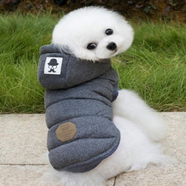 Wewoo - Manteau d'hiver matelassé veste en coton super chaud et doux pour chien de compagnietaille M Gris Wewoo  - Chiens