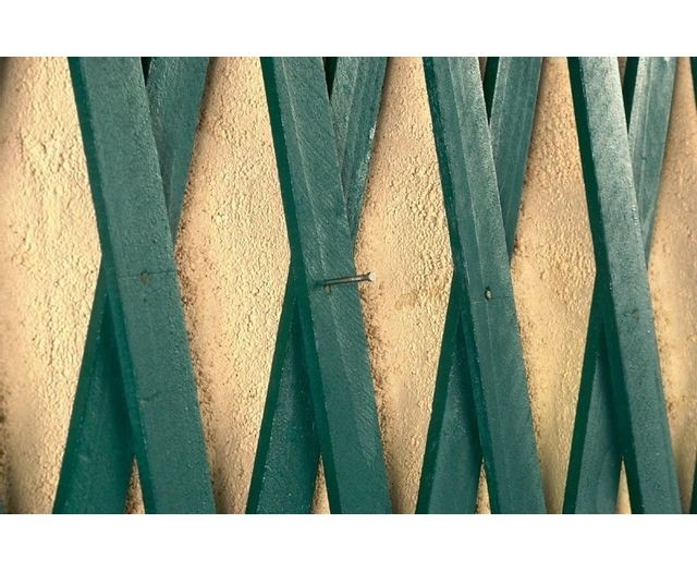 Claustras INTERMAS - Treillis extensible en bois - Vert  1 x 2 m TRELLIWOOD