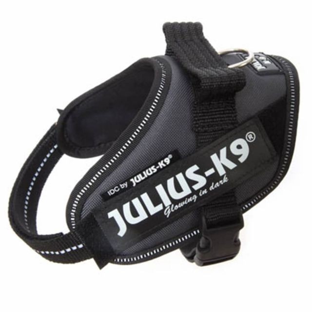 Julius K9 - Julius K9 IDC Mini Mini harnais pour chiens Anthracite 16IDC-ANT-MM Julius K9  - Equipement de transport pour chien