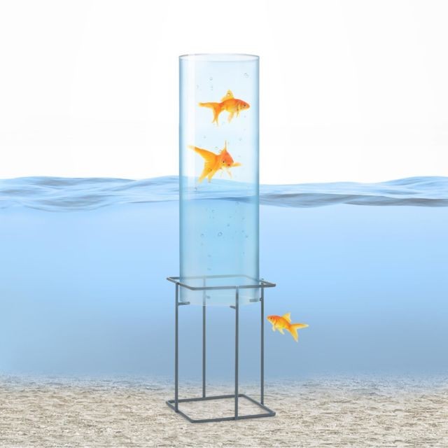 Blumfeldt - Blumfeldt Skydive 60 Tour à poissons 60 cm Ø 20 cm , colonne en verre acrylique , base métal , transparent - Blumfeldt