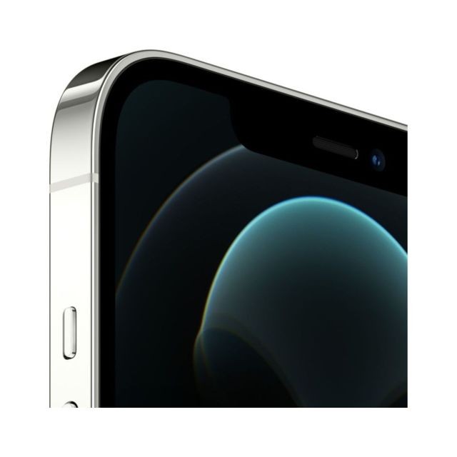 Apple iPhone 12 Pro Max - 5G - 256 Go - Argent