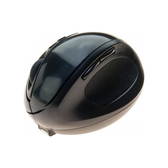 Abi Diffusion - Souris ergonomique sans fil nano USB rechargeable noire - Souris 2 boutons