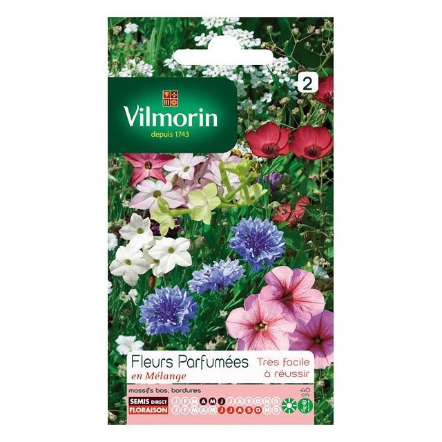 Vilmorin - Sachet graines Fleurs parfumées en mélange Vilmorin  - Massifs fleurs
