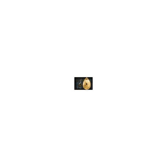 Noble Collection - - Réplique Harry Potter - Oeuf D'Or - Sovle inclus- L'oeuf ne s'ouvre pas- Vendu sous boite carton- Taille 23cm Noble Collection  - Noël 2019 : Jeux & Jouets Jeux & Jouets