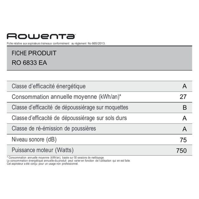 X-Trem Power - RO6833EA Rowenta
