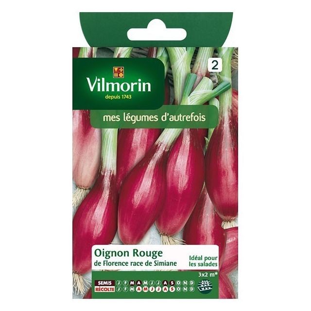 Vilmorin - Sachet graines Oignon rouge de Florence race de Simiane Vilmorin  - Graine de fleur et potager