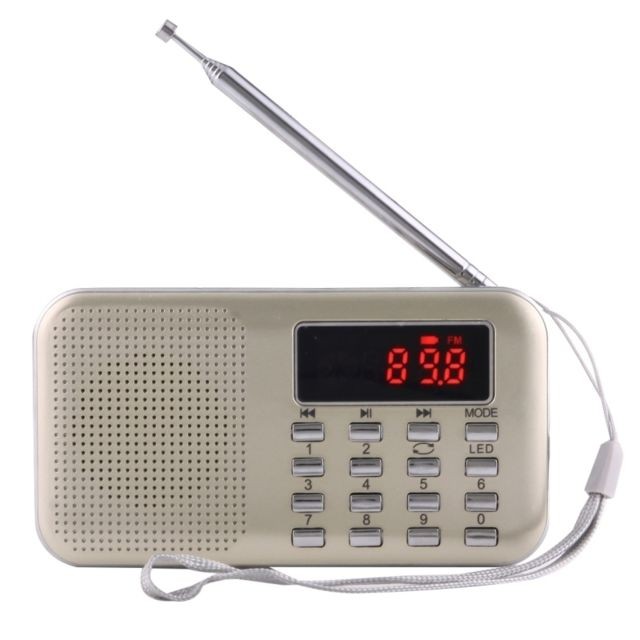 Wewoo - Y-896 Portable LCD stéréo numérique FM Radio AM haut-parleur, batterie Li-ion rechargeable, Support Micro TF carte / USB / MP3 Player Wewoo  - Son audio