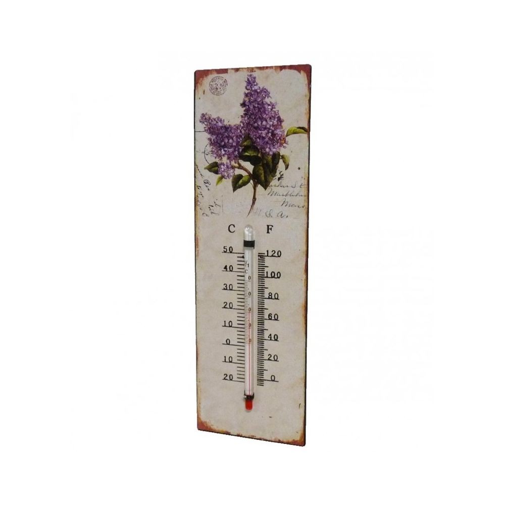 LHéritier Du Temps Thermomètre Mural Décoratif en Celsius et Farenheit ou à Poser Motif Floral à lAncienne en Fer et Papier Vernis 0,5x8x25cm 