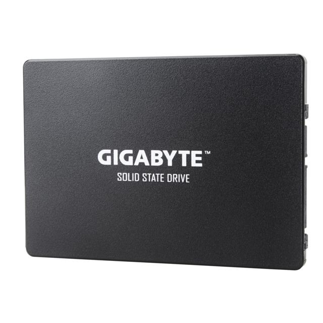 SSD Interne Gigabyte GP-GSTFS31480GNTD