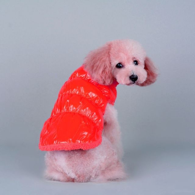 marque generique - Pet Dog Puppy Cat Chaud Rembourré Coat Down Jacket Vest Vêtements Vêtements Rouge L marque generique  - Chiens