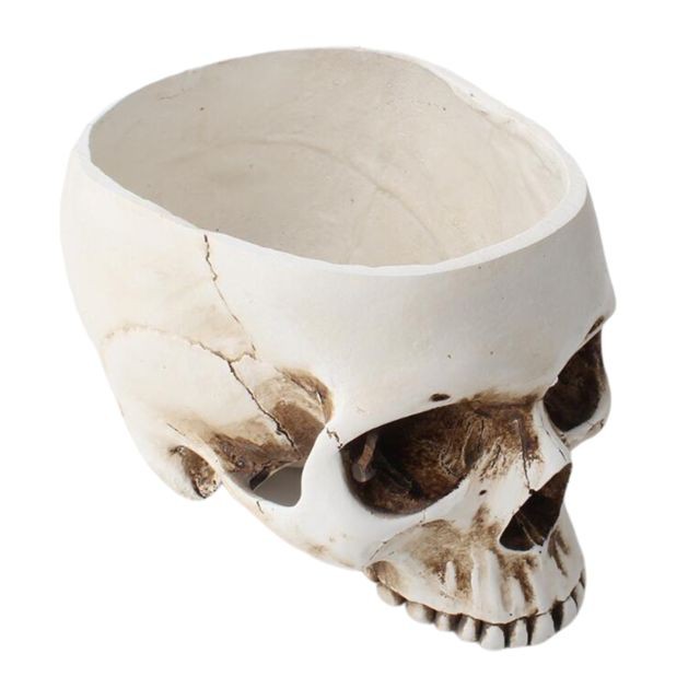 Objets déco marque generique crane humain skull pots de fleurs  bol halloween