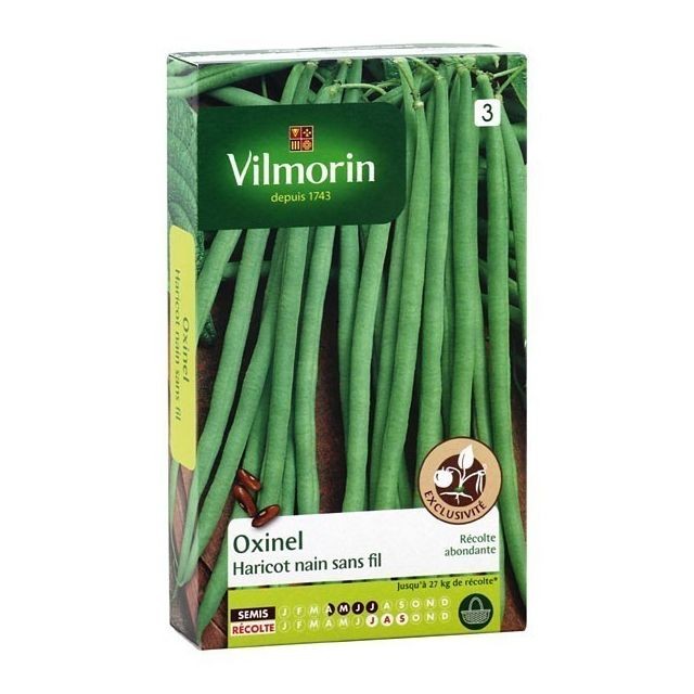 Graine & potager Rare Vilmorin Haricot nain sans fil OXINEL +20% gratuit