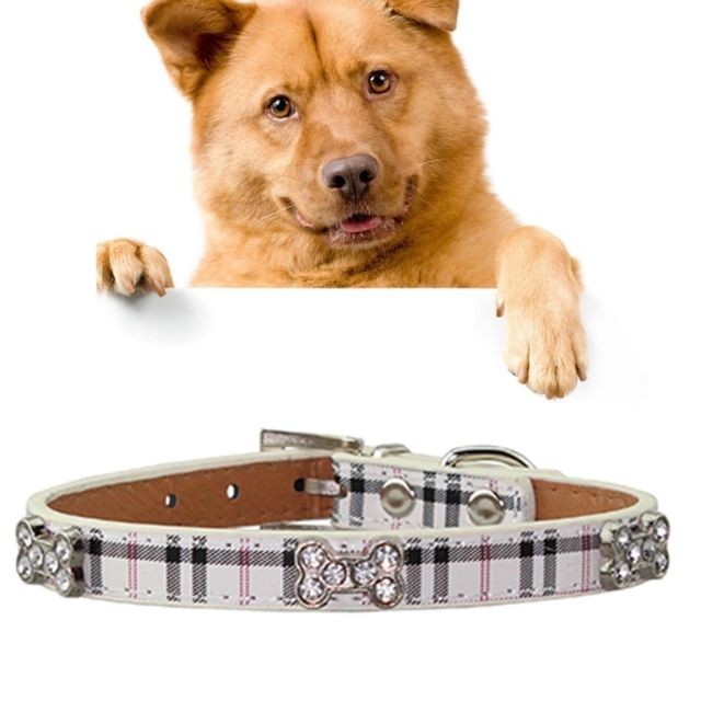 Wewoo - Collier Chien & Chat Beige Cuir PU avec des conceptions d'os Pet Dog Collar Products, Taille: S, 1.5 * 37 cm Wewoo  - Bonnes affaires Collier pour chat