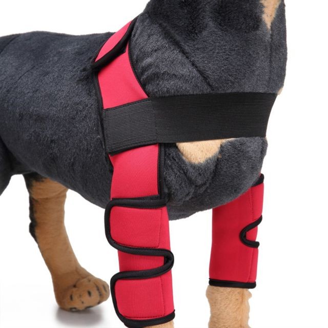 marque generique Support de genouillère pour chien avant Support de compression pour jambe avant rouge - s