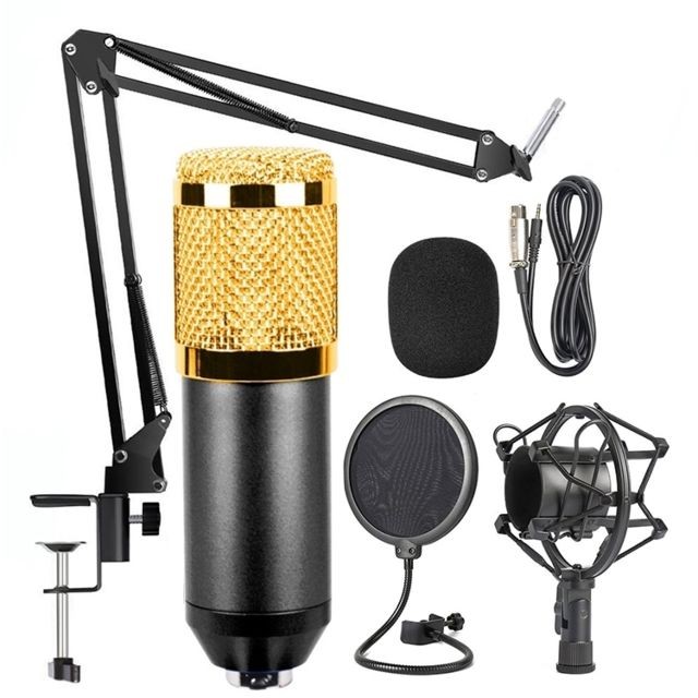 Wewoo - Microphone à condensateur Mic Kit avec bras de ciseaux à suspension réglable, fixation choc & filtre anti-pop double couche, pour enregistrement en studio, diffusion en direct, live show, KTV, etc. noir Wewoo  - Microphone