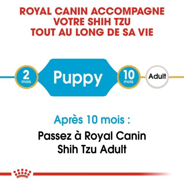 Croquettes pour chien Royal Canin Race Shih Tzu Junior