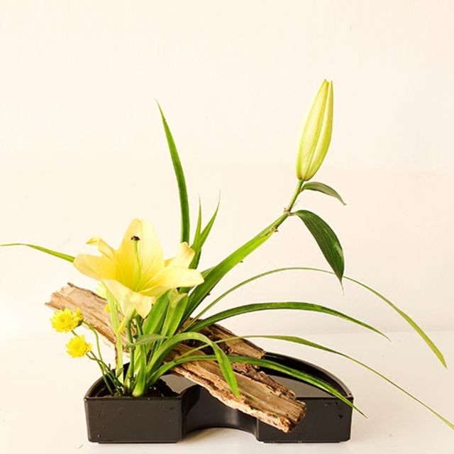 Plantes et fleurs artificielles marque generique
