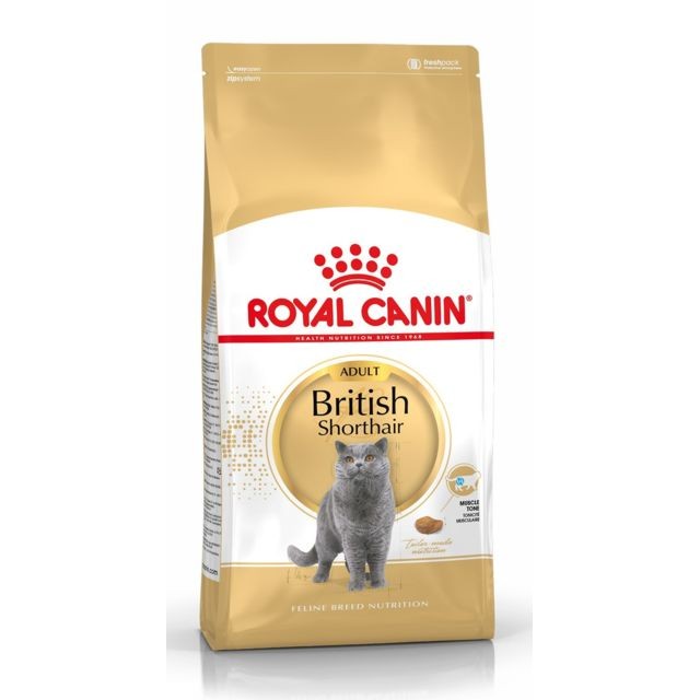Royal Canin - Royal Canin Race British Shorthair Adult Royal Canin  - Croquettes pour chat